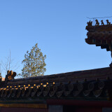 DSC_1019-0c223f61dd35f8b53add4a379027deb3