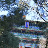 DSC_0857-178c8e6c4668d2dac86def64d8fc3827