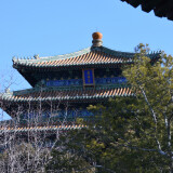 DSC_0784-80d73c9923649145bdd977063e4b9bc0