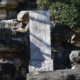 DSC_0709-0c8e1837ff1c173194a95fa4cab1b758