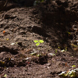 DSC_0812-01e395769a261a9d37d84786f2961fdb