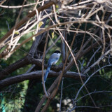 DSC_0808-3c09c52f6c989010972635d2c1db4009