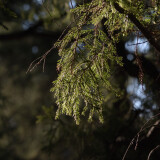 DSC_0811-0e20029bf221b2487573d69795e01f5b