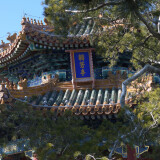 DSC_0768-a51eece24d24f38d120668df8e4dbaf6