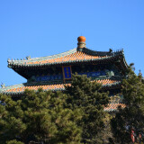 DSC_0872-d88a396dff19e321366986ed9e7ff65d