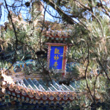 DSC_0738-1dac9a8a0ba669b1d38d127f6d799e81