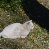 DSC_0840-2084490e1191c4148e833ad2e44e7b42