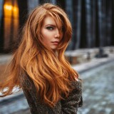 kp04324-70a009834e61d928239a821623c6fa23