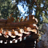 DSC_0084-8fe3e3c493649af0e529b4e16e869bd7