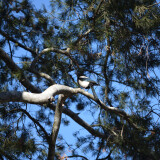 DSC_0103-70325b736ec349978839d8fdf6423910