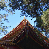 DSC_0024-729bbc67d91e5ac6a61318163406c166