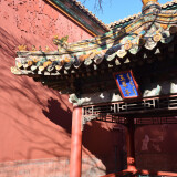 DSC_0042-2c52f68301b33c8acc0c278f34ed76e8