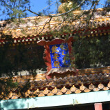 DSC_0095-c54bd03689791ee5aeee174c6269eb40