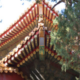 DSC_0098-4e1454015251bfa208b532e7298a8740