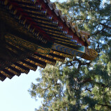 DSC_0123-4eb1370c24575d0a845d2437be7b426a