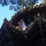 DSC_0011-d9ac777fb9b8771830f85ef927f0feef