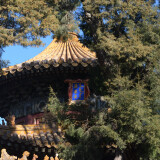 DSC_0009-40af03bf51ff56be7a65ecac237a63c4