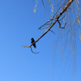 DSC_0897-1695e908ef21fa9f8cb18513a211f246