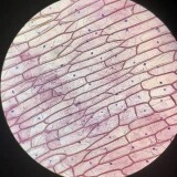 -ce92bc1fa5f116dd2dd8e97b0b7b03b0