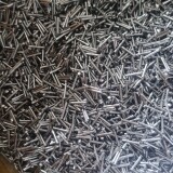 1000072179-1acbc596088e4cea15319e281fe63d30