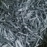 1000072205-9ab1e2bf2ee4d812f278fe2f30315616