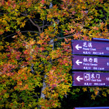 DSC_0445-f9f4aa0dd3734c50ac9b4cd486093e68