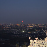 DSC_0524-877e3c2673e32b16f03199ad5da0986c