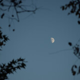 DSC_0456-c72d8cf8e84407d00280ff33ec2a7c69