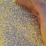 1000074301-658ad62913945361f5f5858064e238e5