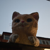 DSC_0898-6dd0fbefe6d7063b9cbce9a7ec2be41e