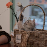 DSCF8805-1b92971697daacc40dc507618d938af1