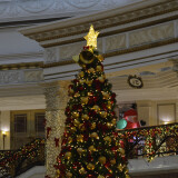 _DSC5976-b762370c5e10607edd0d1d2693120f74