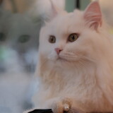 DSCF8833-e0190690edac5fabfff1477c63b71a76