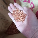 1000074504-d312d55859cbd9af16561aace36be3dc