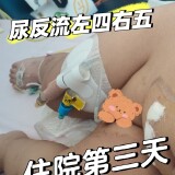 2025-08-16_18-50-20_760-eef8e761b92d558c15694db4175560fb