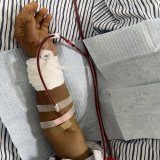 u3898074627711243765fm253fmtautoapp138fPNG-06d403d23c3f8a625713502eab682105