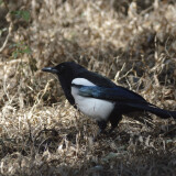 _DSC6646-89b2109a208ce2ae0fcbdb205cad4d14