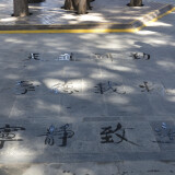 _DSC6718-64e0226a96a97b53adba81c35c456cd2