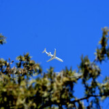 _DSC6673-c00f5f87cc37e0c6186a19fcdf6fa92b