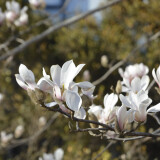 _DSC6993-e3e364c78e173348b11081d35d877d28