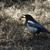 _DSC6644-61de82f35cba05666ffe64006357a863