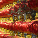 _DSC6815-19e15e38b99262b9cdcc2e723fcca96c