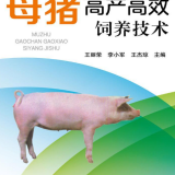 pig-affdfbe2b2e5034687d2c93cfe3cd7a9.png